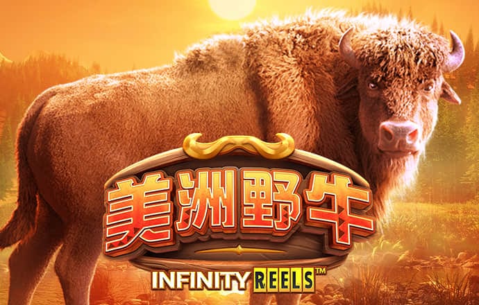 银河至尊入口
