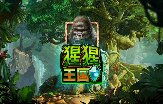 游艇竞速赛